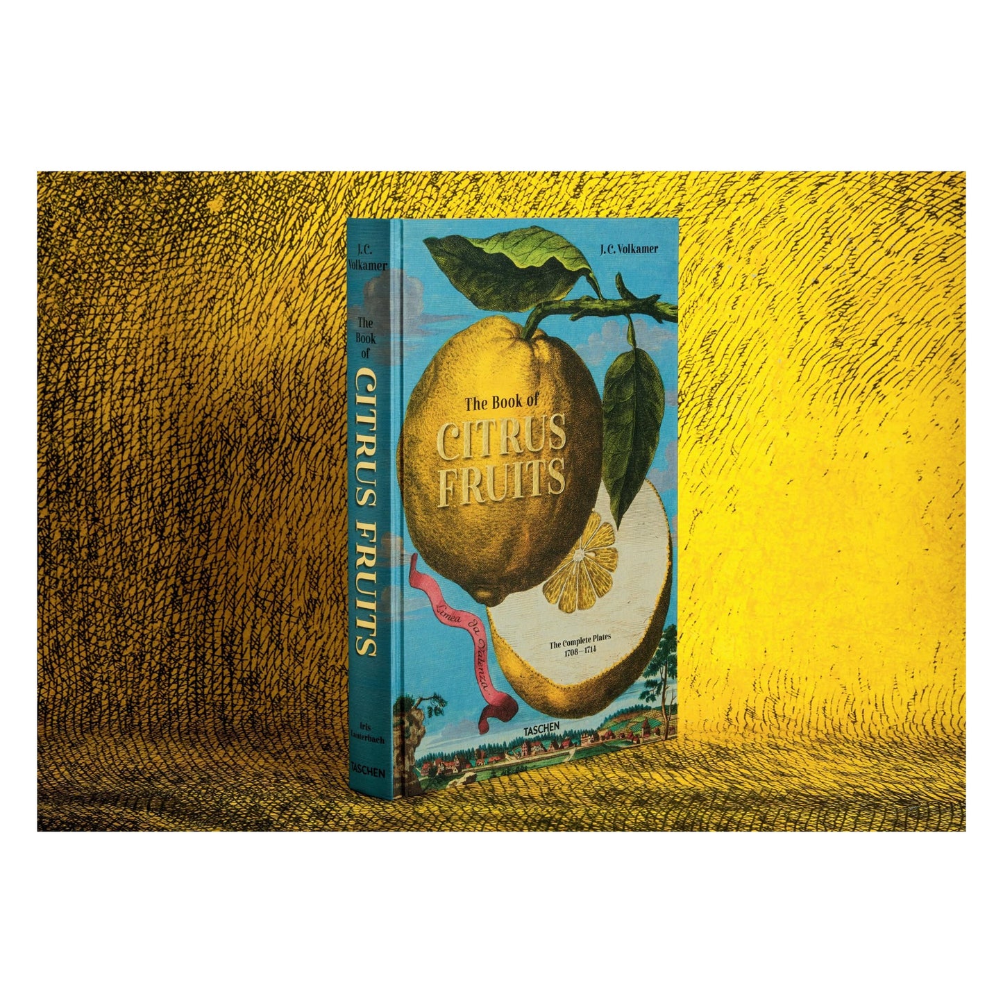 J. C. Volkamer. The Book of Citrus Fruits (German, French, English) Book