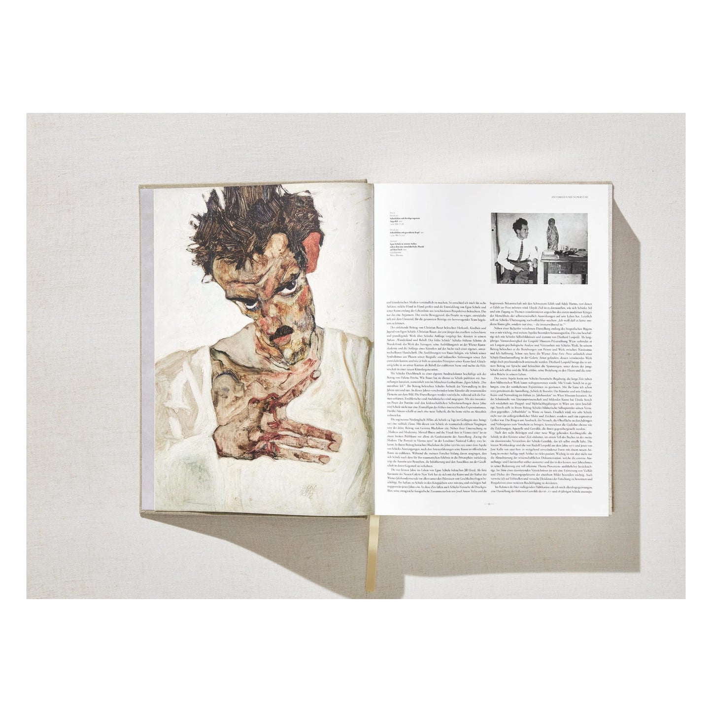 Egon Schiele. The Complete Paintings 1909–1918 (English) Book