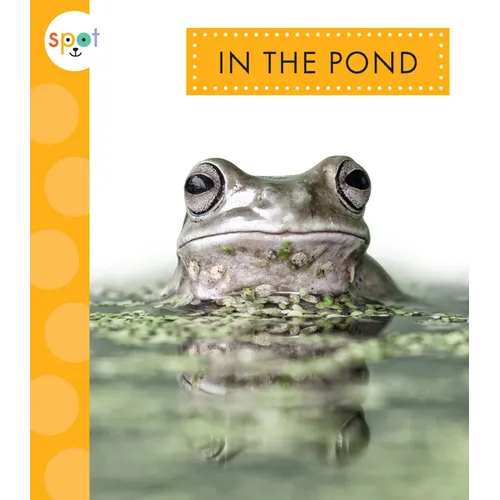 In the Pond
