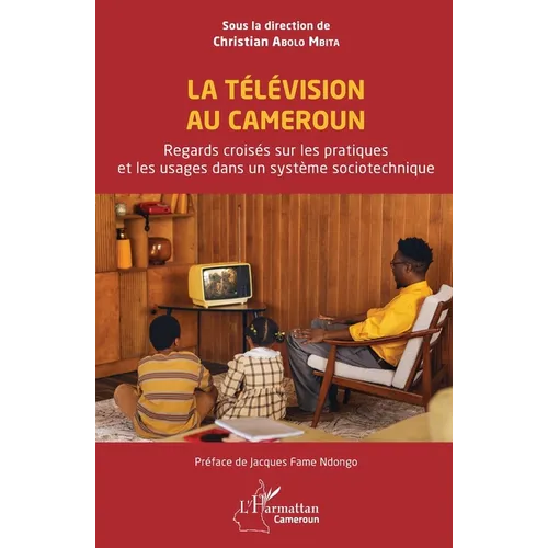La Télévision au Cameroun: Regards croisés sur les pratiques et les usages dans un système sociotechnique