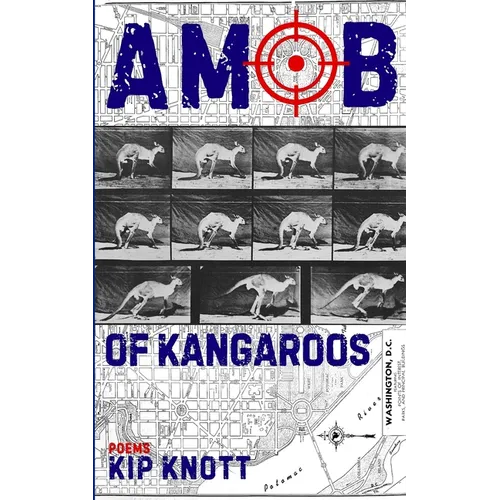 A Mob of Kangaroos