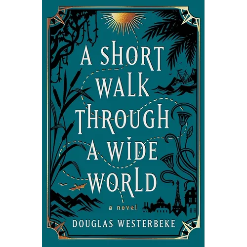A Short Walk Through a Wide World