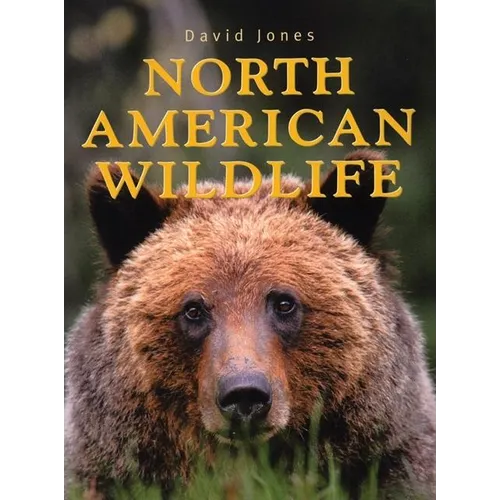 North American Wildlife