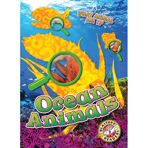 Ocean Animals