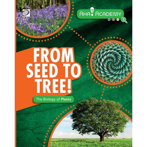 From Seed to Tree! The Biology of Plants