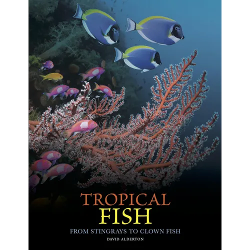 Tropical Fish: From Stingrays to Clown Fish