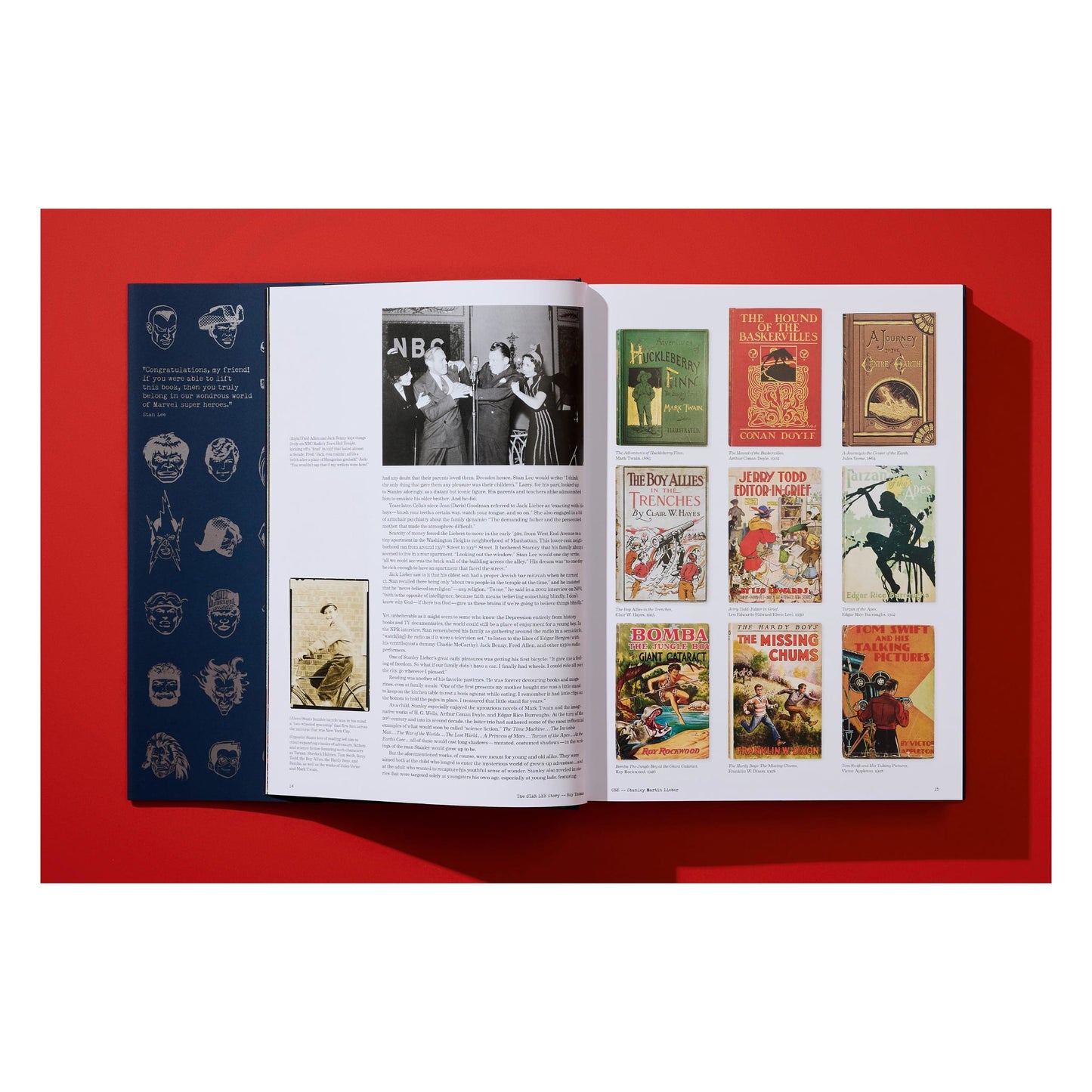 The Stan Lee Story (English) Book