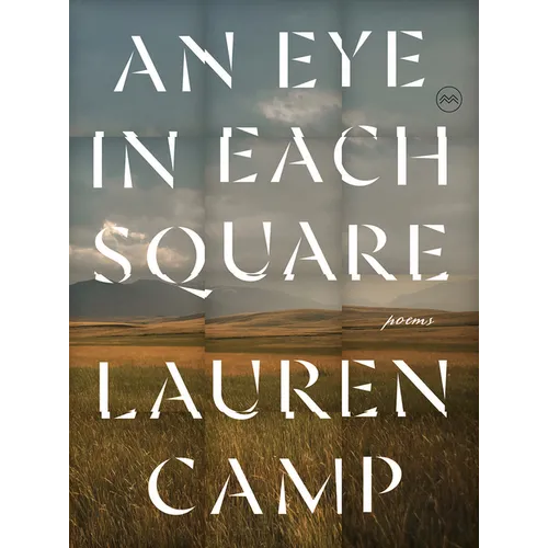 An Eye in Each Square