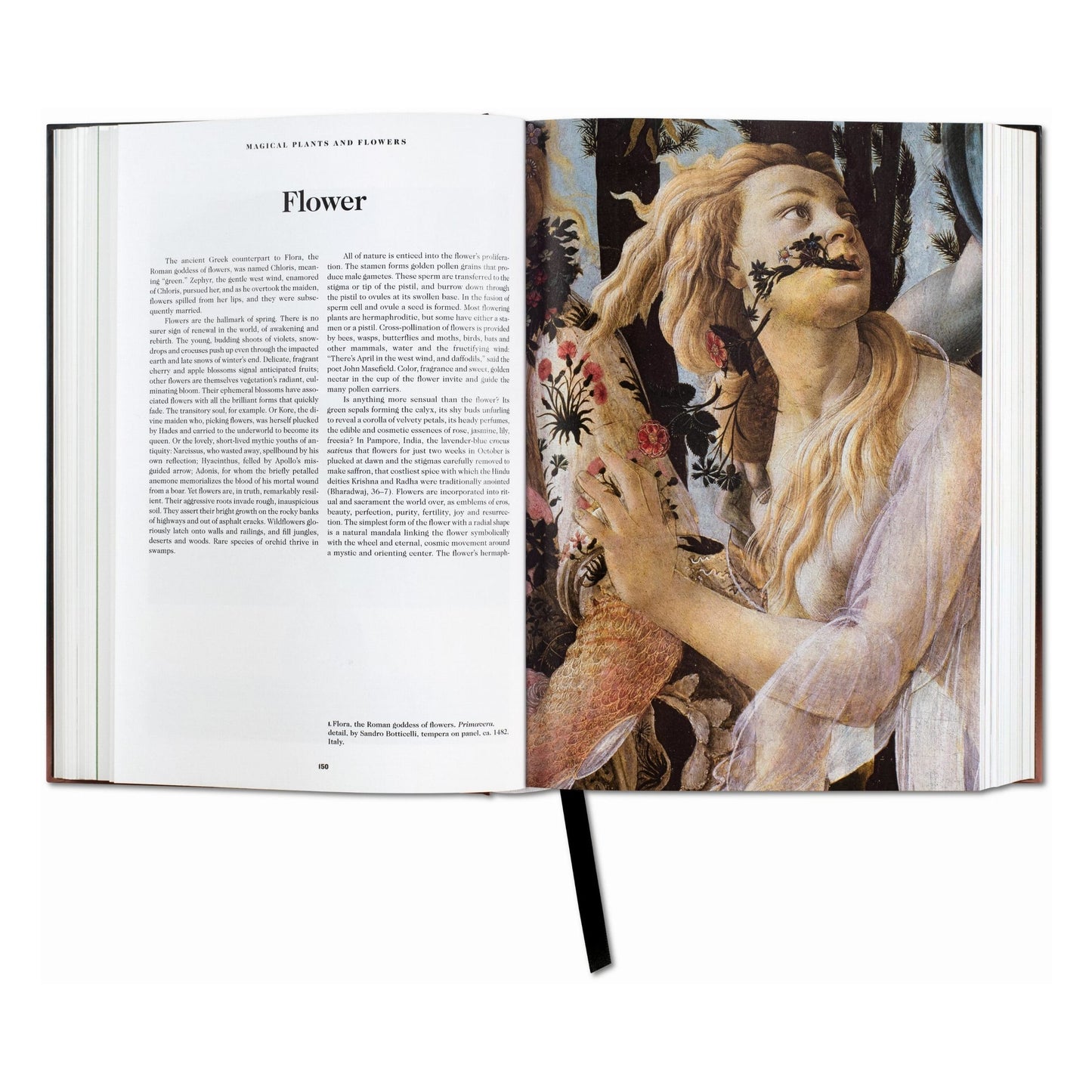 The Book of Symbols. Reflections on Archetypal Images (English) Book