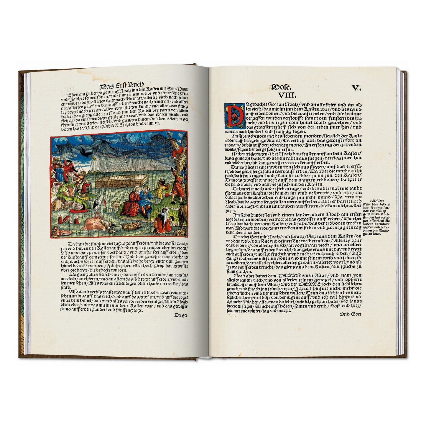 Die Luther-Bibel von 1534 (German, English) Book