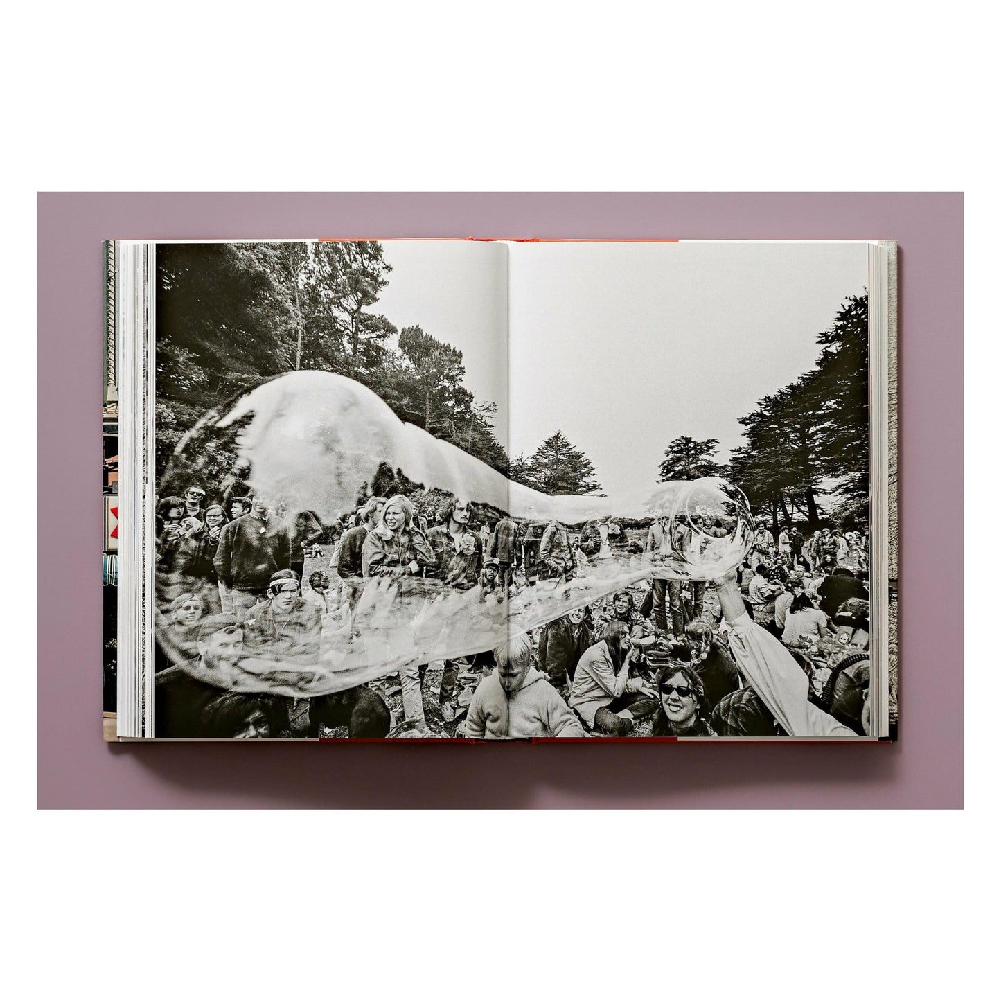 San Francisco. Portrait of a City (German, French, English) Book