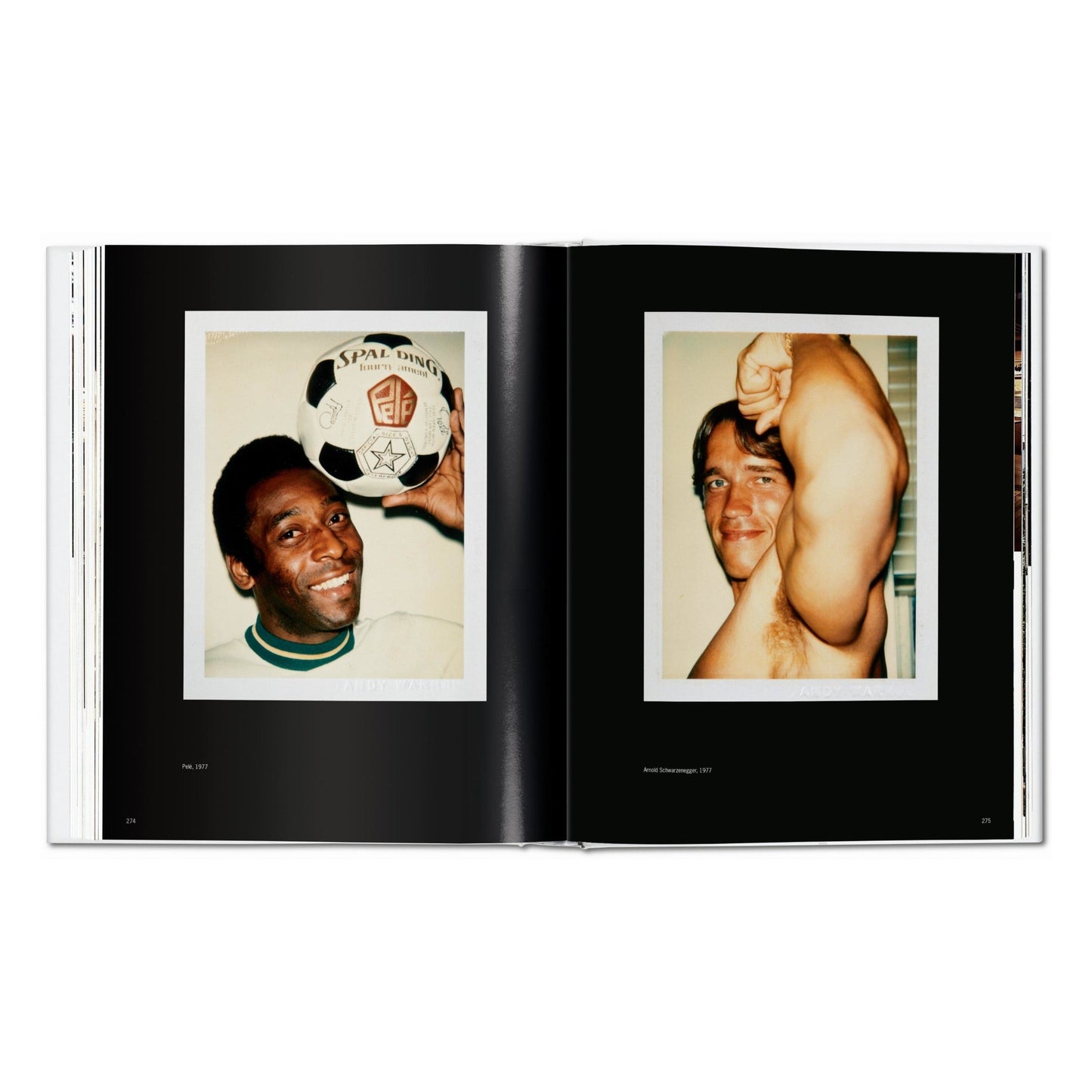 Andy Warhol. Polaroids 1958-1987 (German, French, English) Book