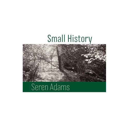 Small History