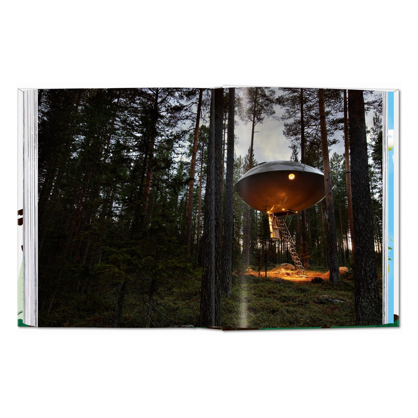 Tree Houses. 45th Ed. (German, French, English) Book
