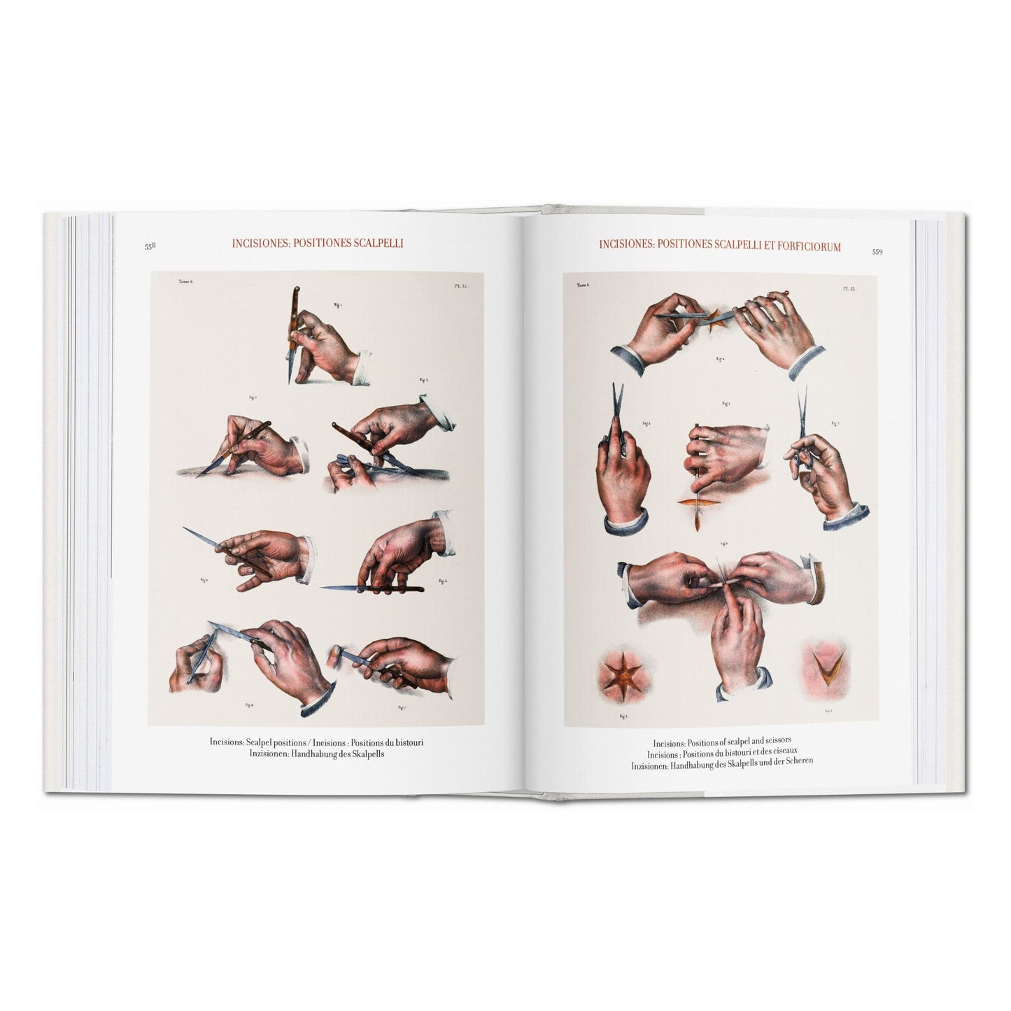 Bourgery. Atlas of Human Anatomy and Surgery (German, French, English) Book