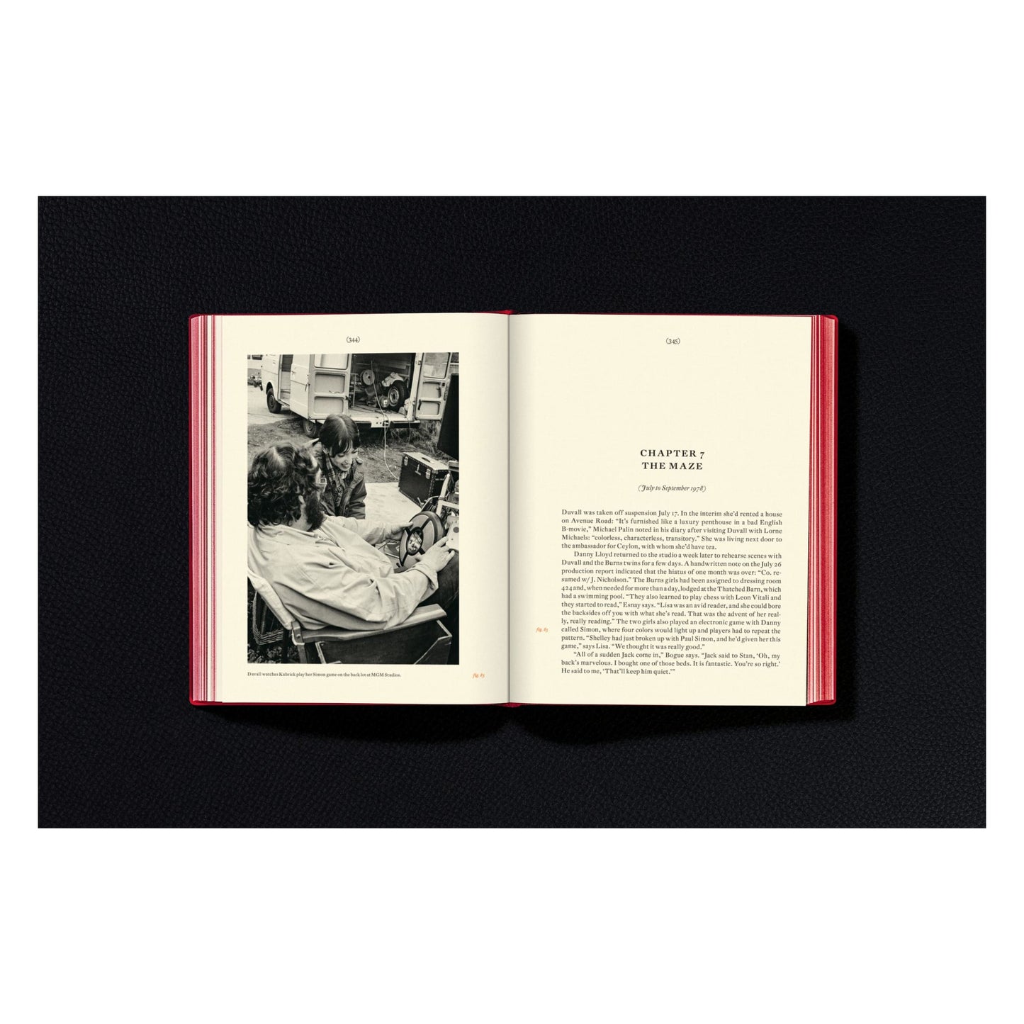 Stanley Kubrick's The Shining (English) Book