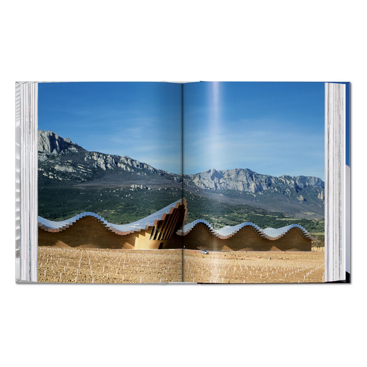 Calatrava. Complete Works 1979–Today. 45th Ed. (German, French, English) Book