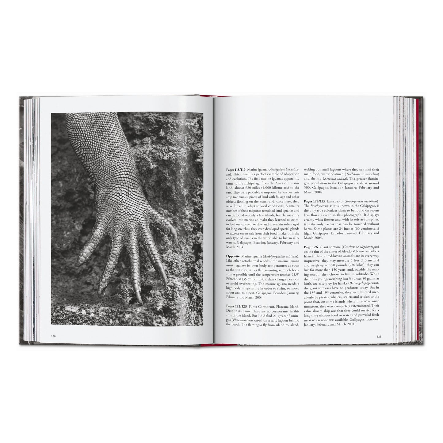 Sebastião Salgado. Genesis. 45th Ed. (English) Book