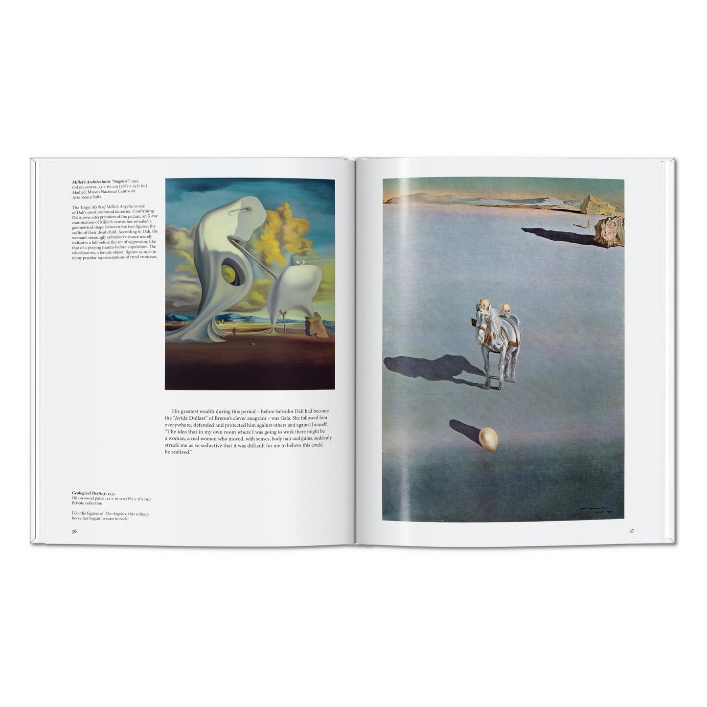 Dalí (English) Book