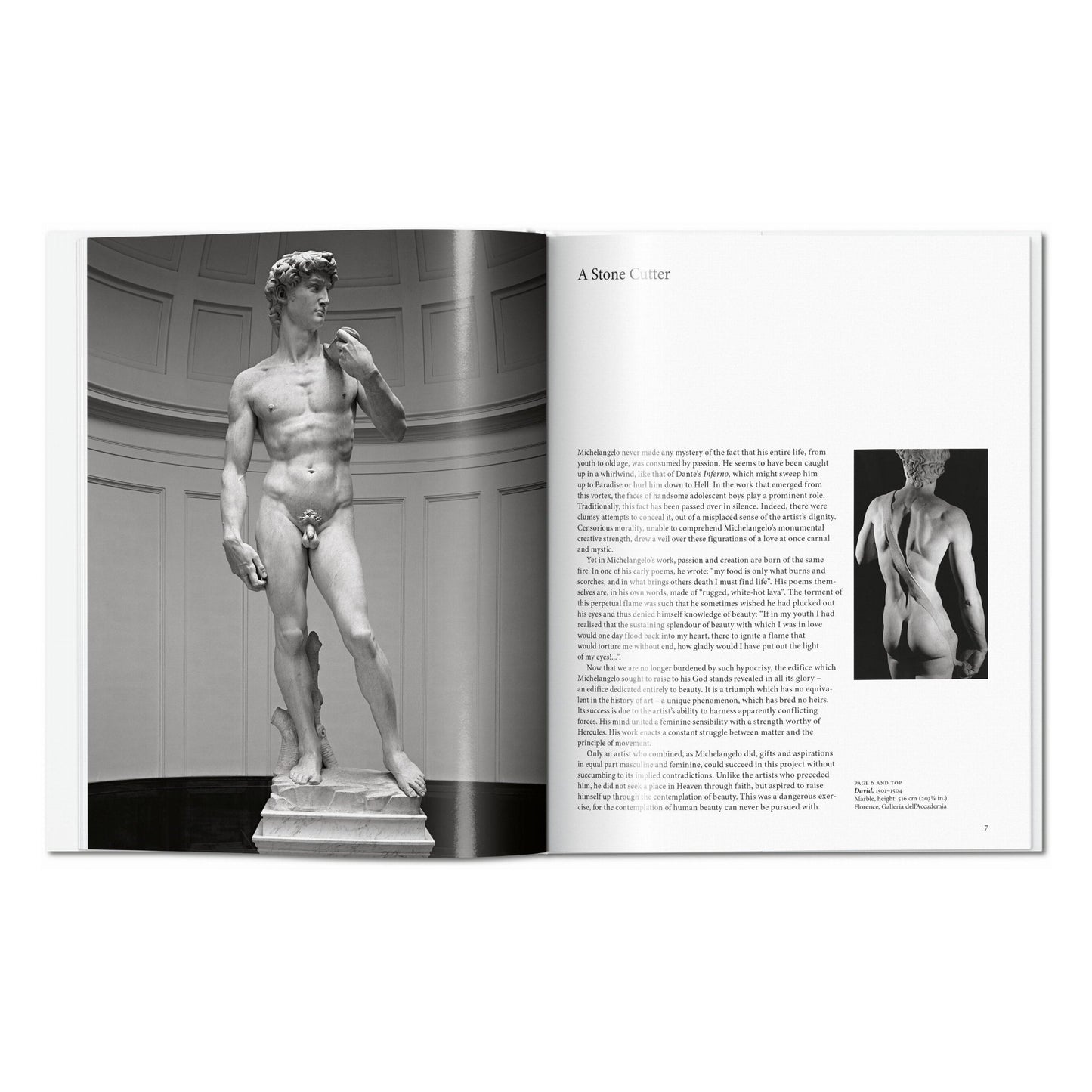 Michelangelo (English) Book