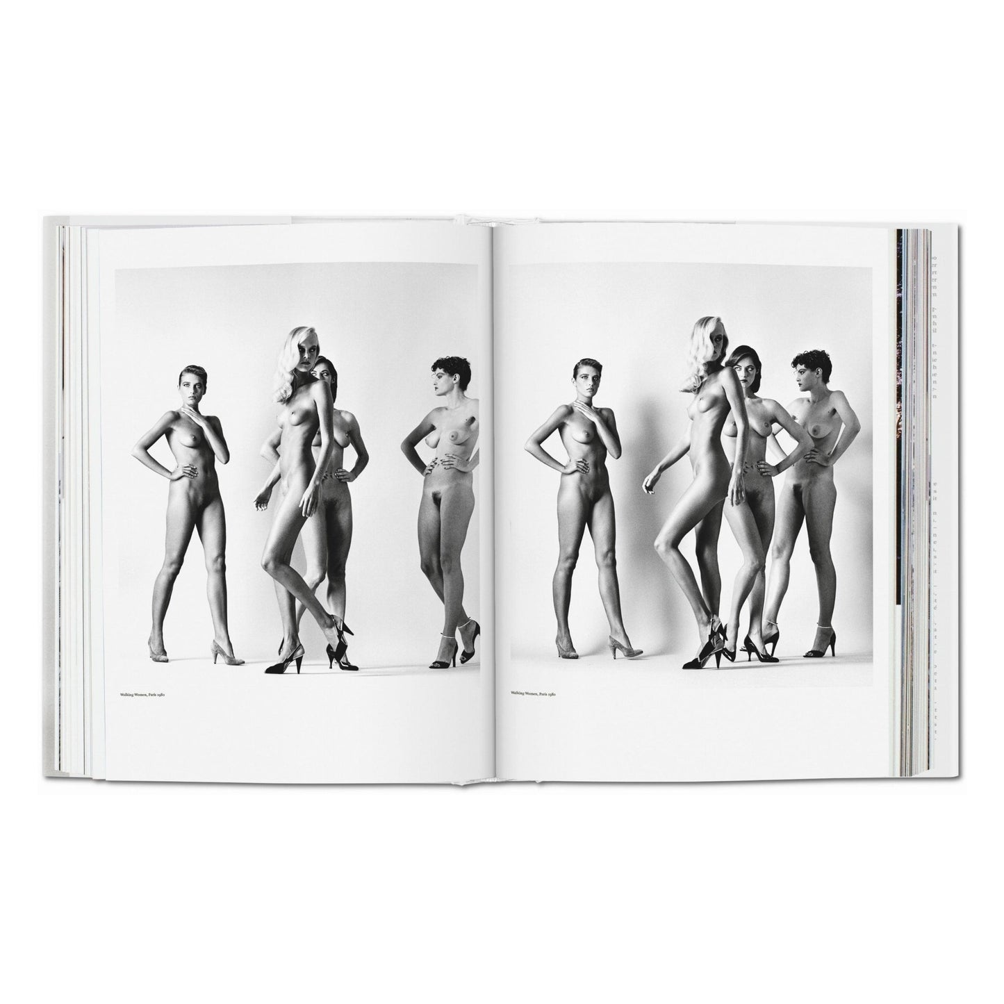 Helmut Newton. SUMO (German, French, English) Book