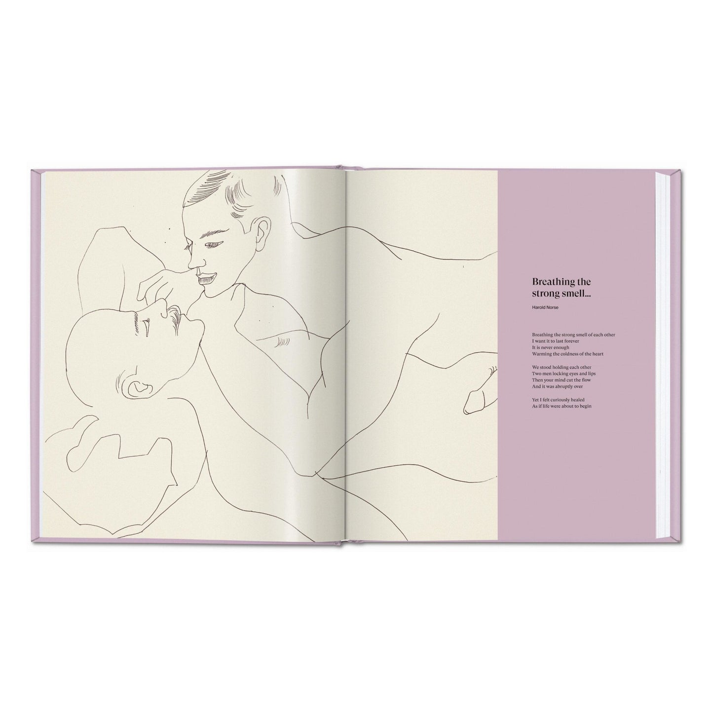 Andy Warhol. Love, Sex, and Desire. Drawings 1950–1962 (German, French, English) Book