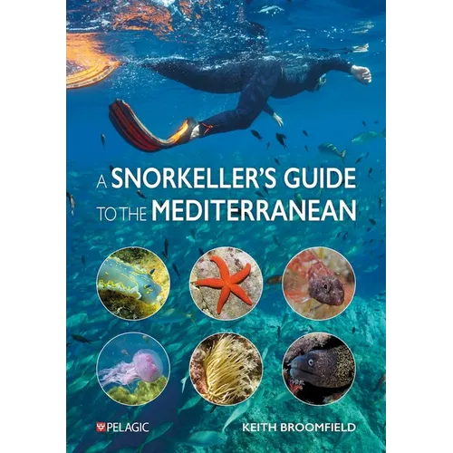 A Snorkeller's Guide to the Mediterranean: A Photographic Id Guide to the Most Commonly Encountered Marine Species