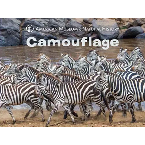 Camouflage