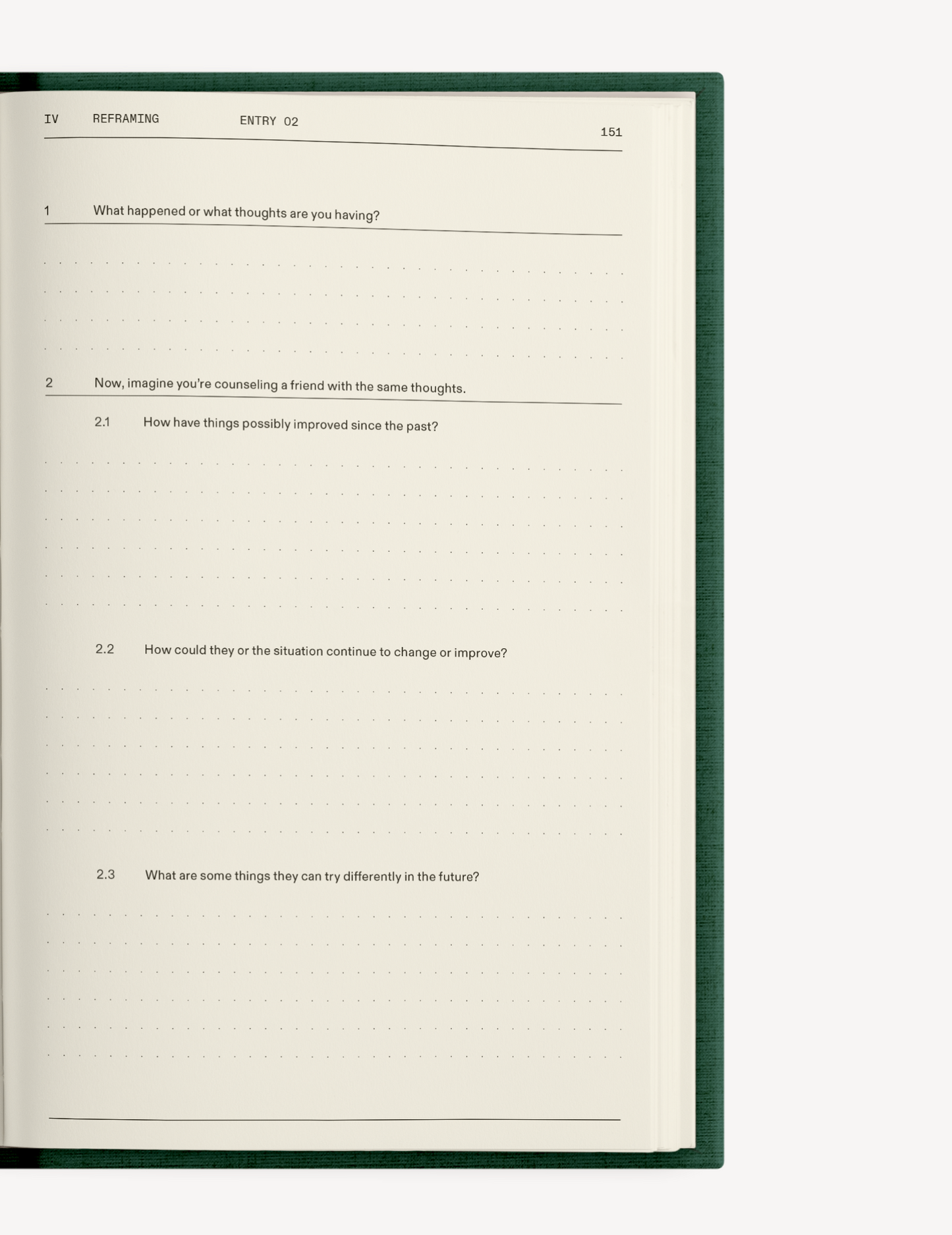 The Field Guide for Depression Therapy Notebook