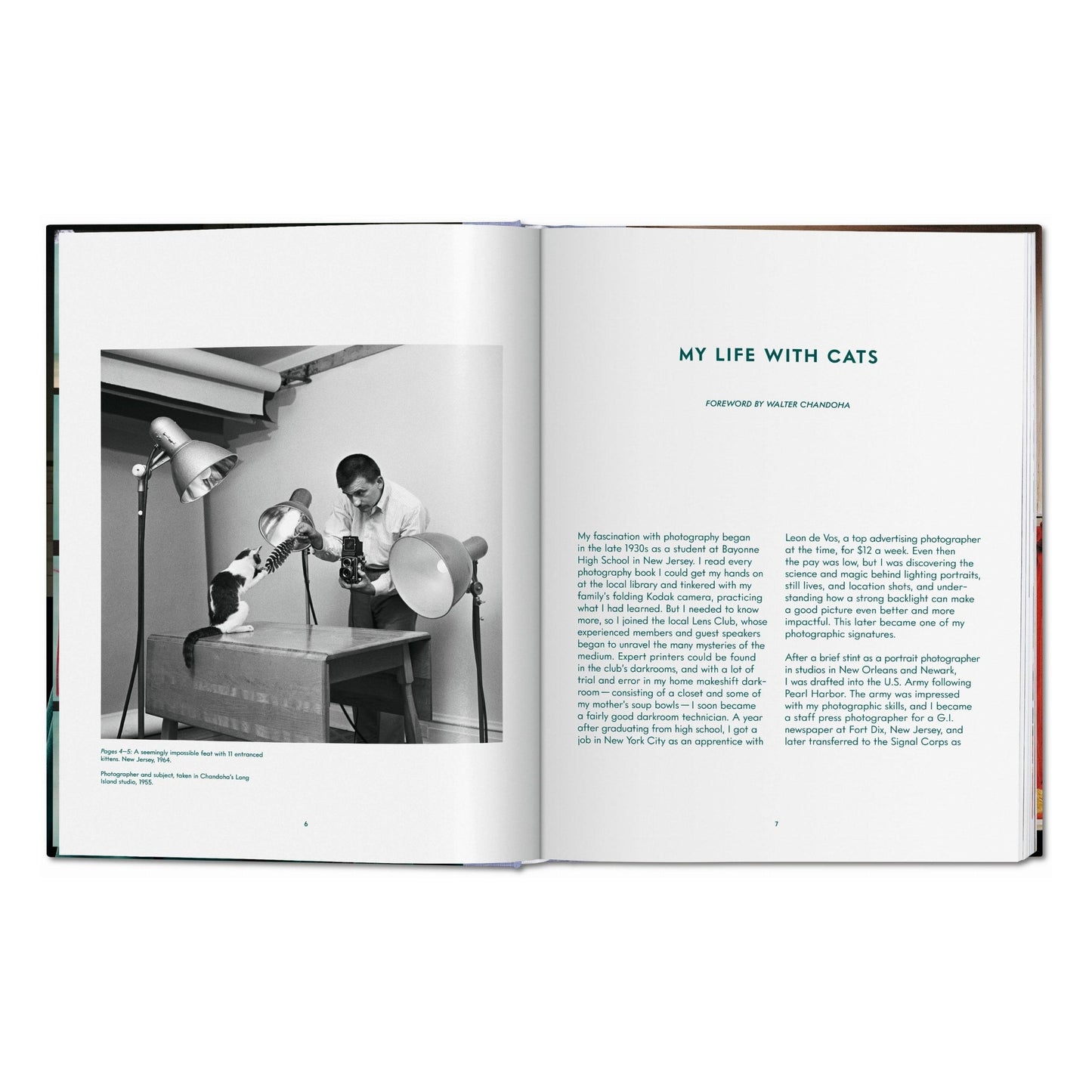 Walter Chandoha. Cats. Photographs 1942–2018 (German, French, English) Book