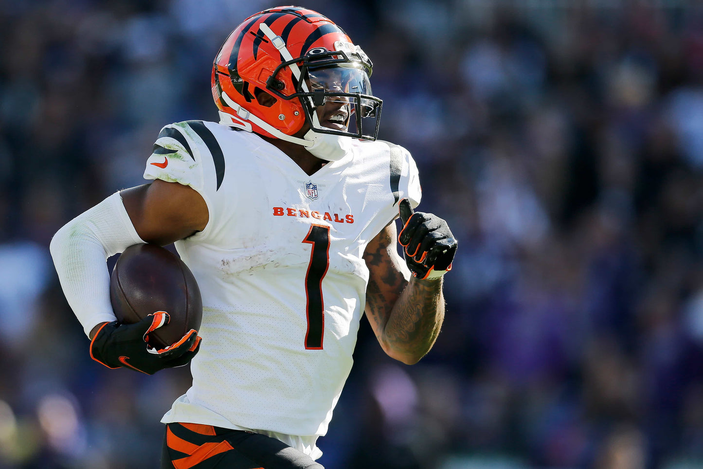 Rule Them All: How the Cincinnati Bengals Captured Their First AFC Title in Three Decades Book