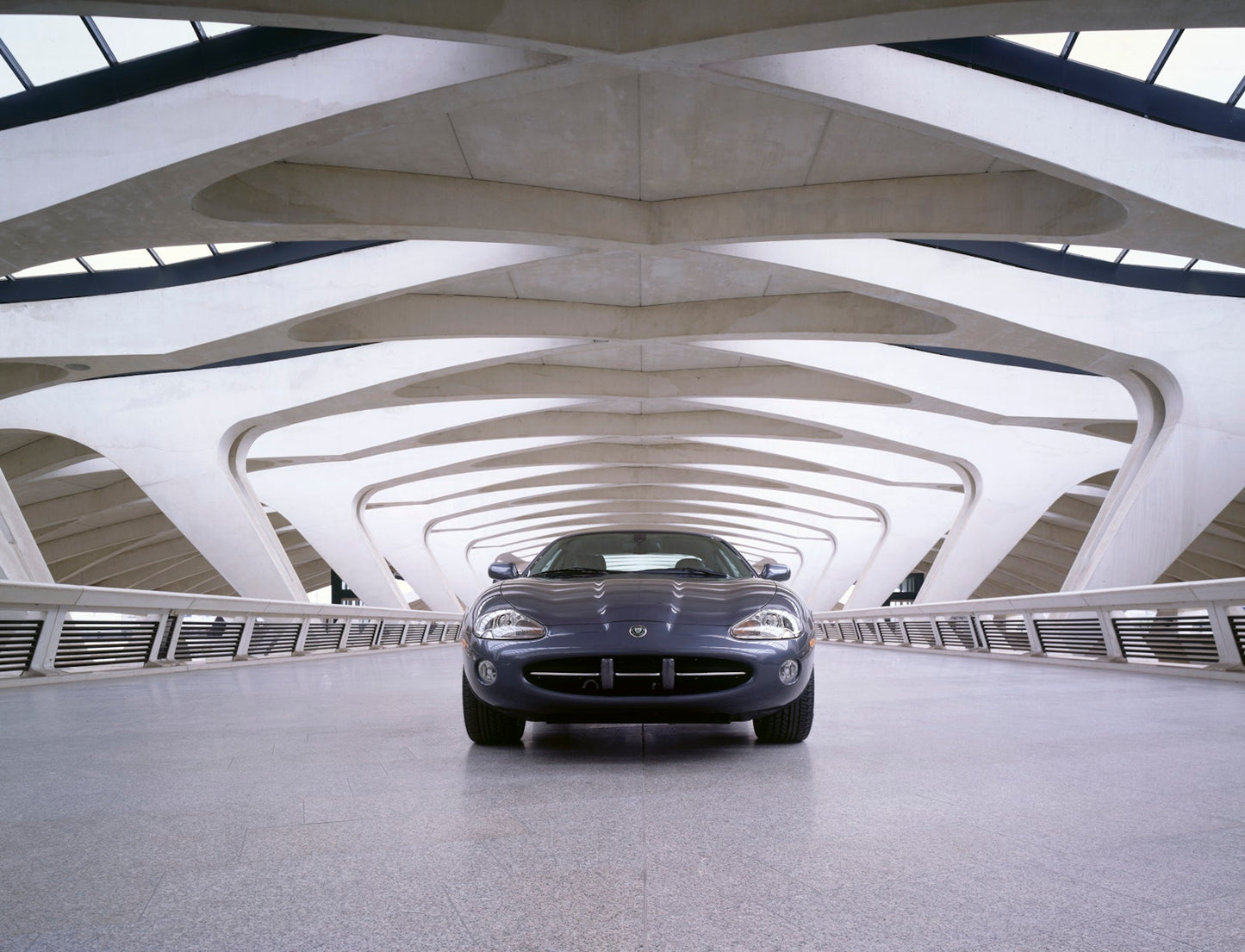 The Jaguar Book ­- Collector's Edition Book