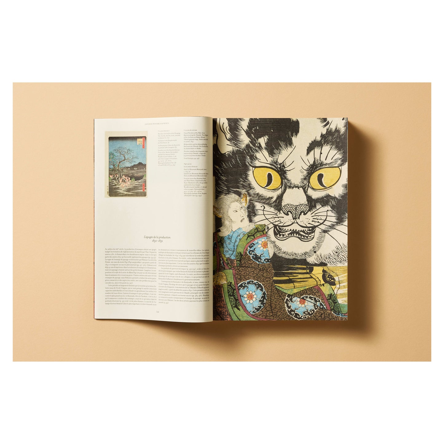 Japanese Woodblock Prints (German, French, English) Book
