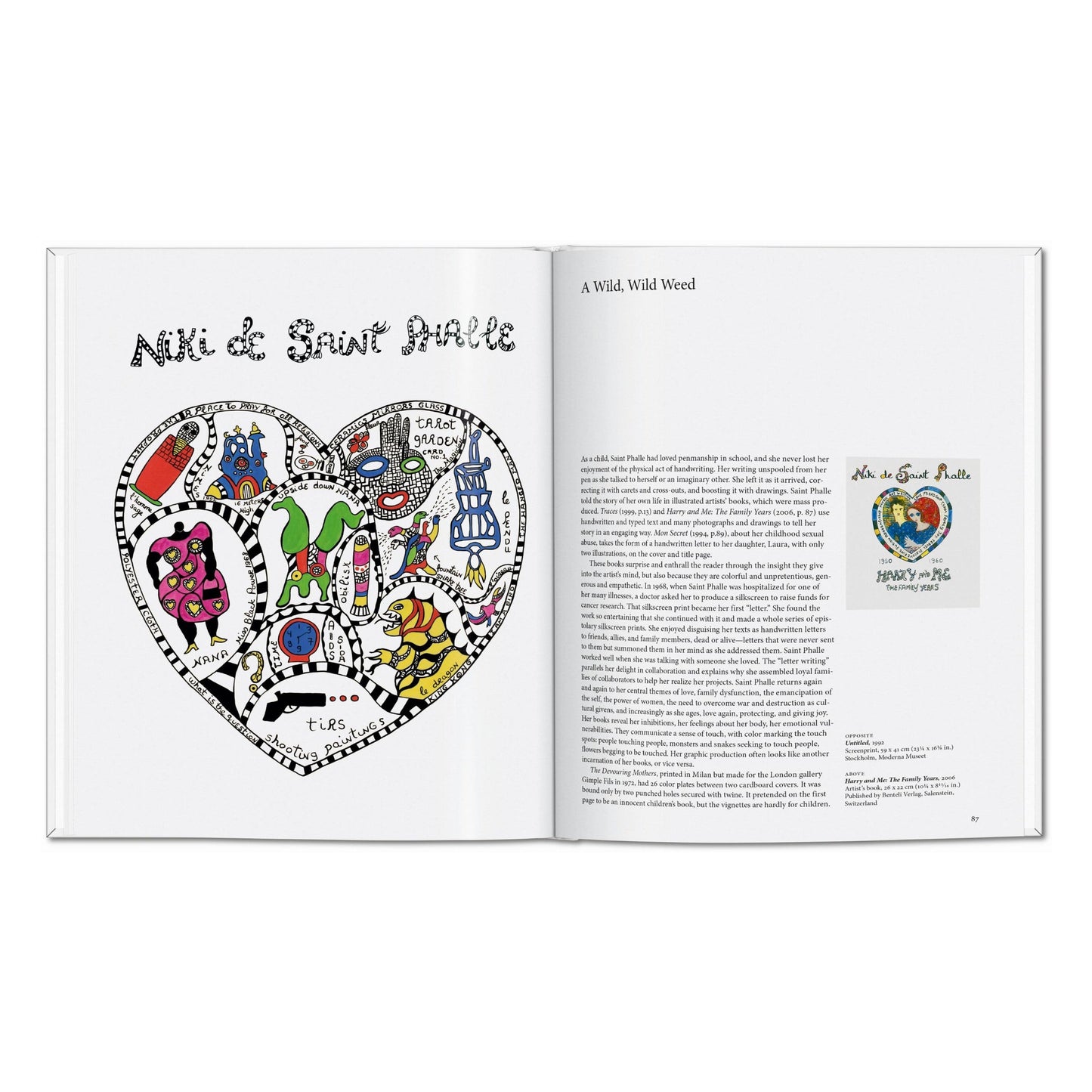 Niki de Saint Phalle (English) Book