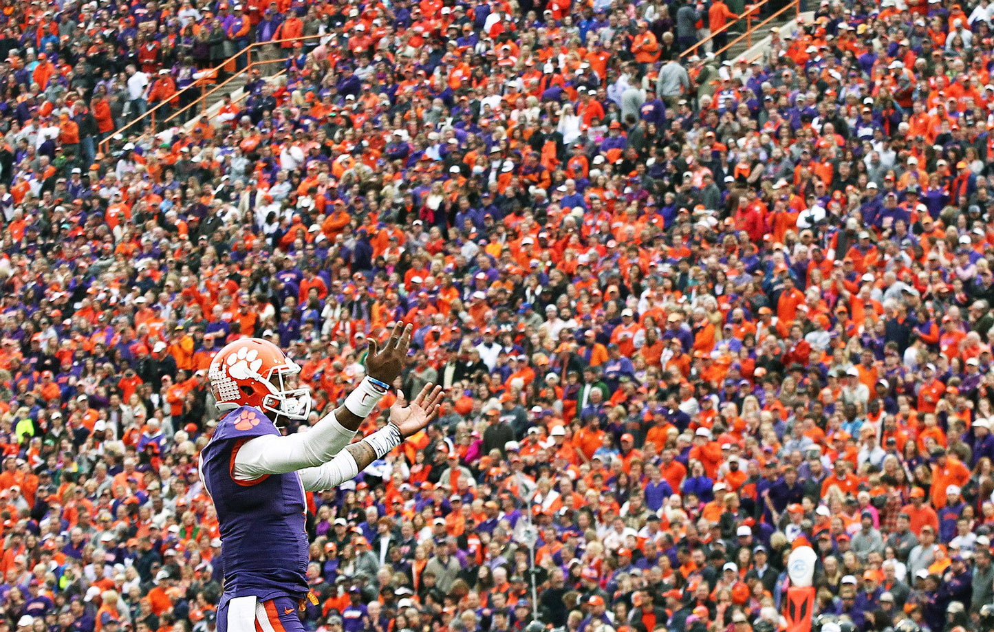 Earning the Stripes: Clemson’s 2015 Historic Football Season Book