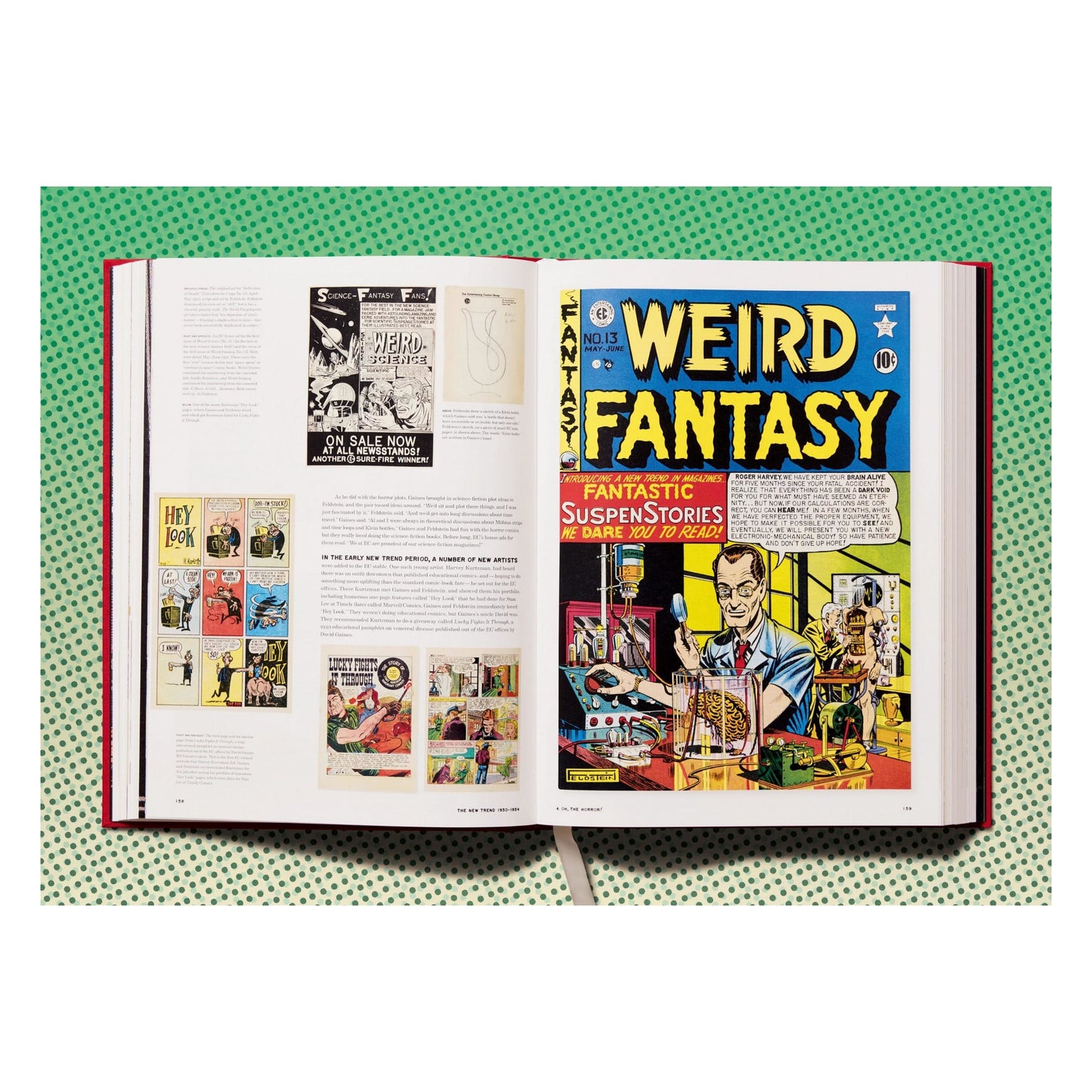 The History of EC Comics (English) Book