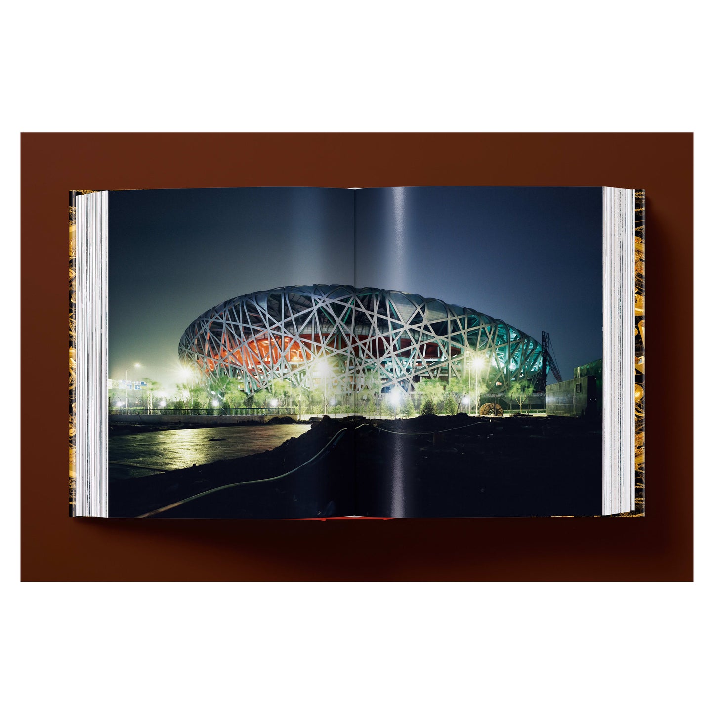 Ai Weiwei. Updated Edition (German, French, English) Book