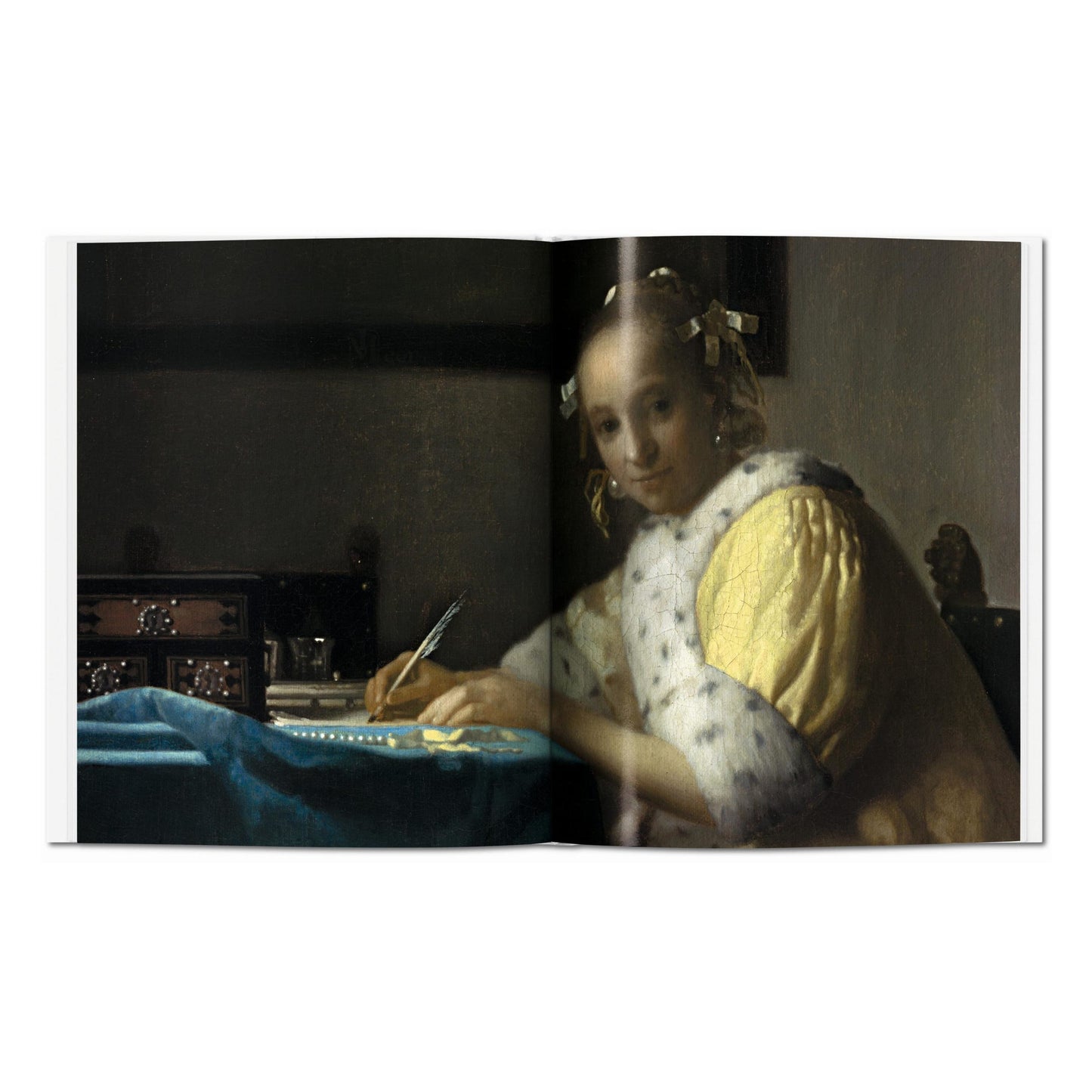 Vermeer (English) Book
