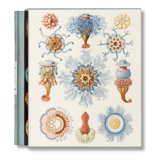 The Art and Science of Ernst Haeckel (German, French, English) Book