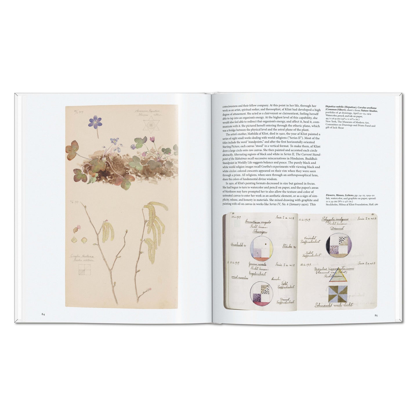 Hilma af Klint (English) Book