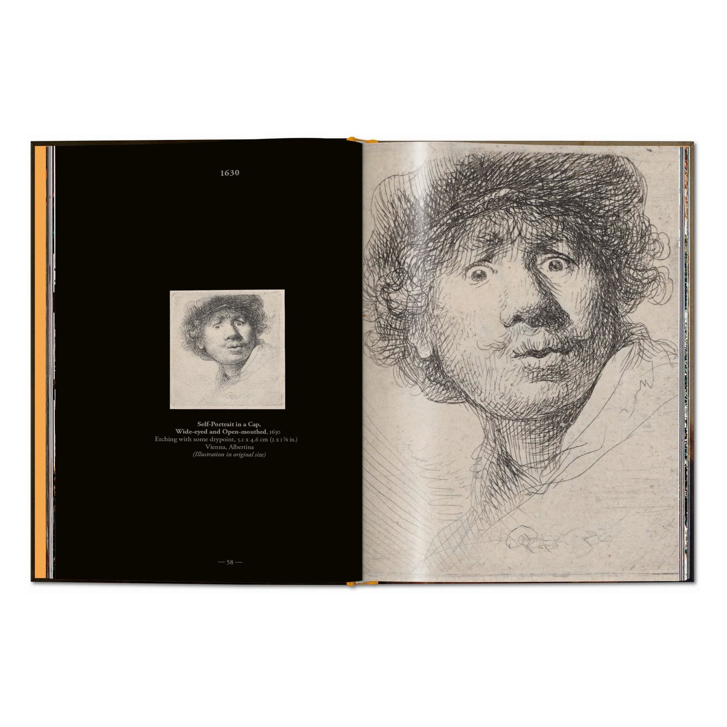 Rembrandt. The Complete Self-Portraits (English) Book