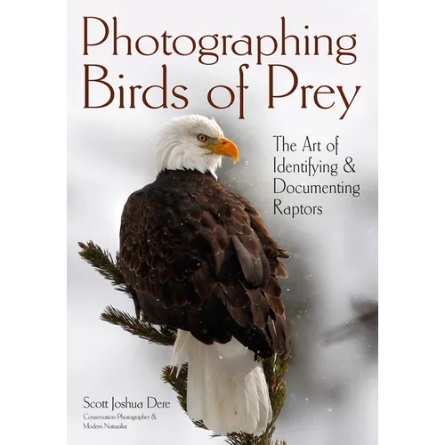 Photographing Birds of Prey: The Art of Identifying & Documenting Raptors