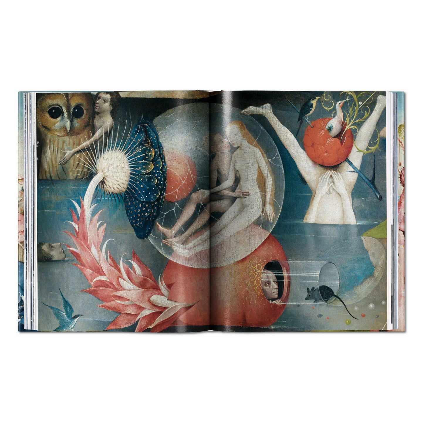 Hieronymus Bosch. The Complete Works (English) Book