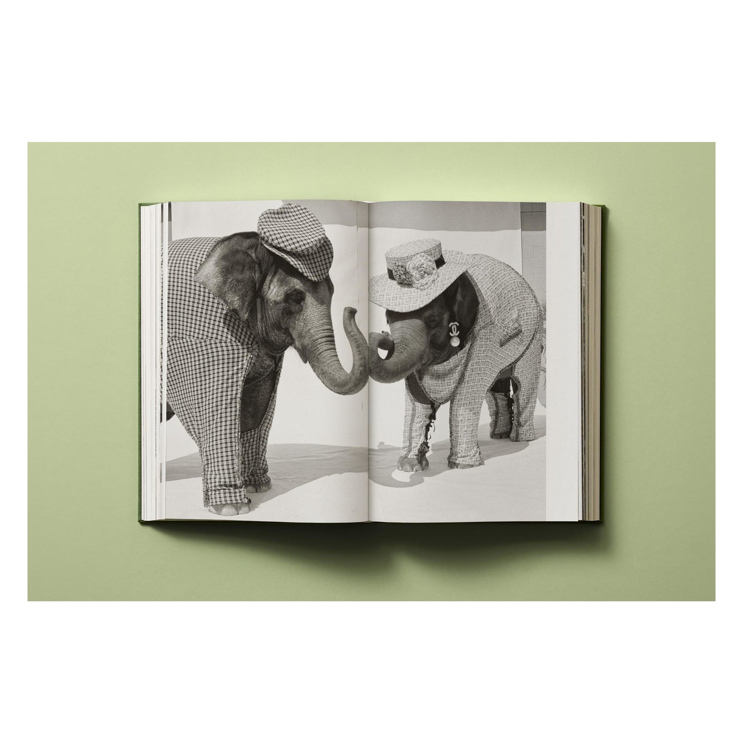 Bruce Weber. My Education (German, French, English) Book