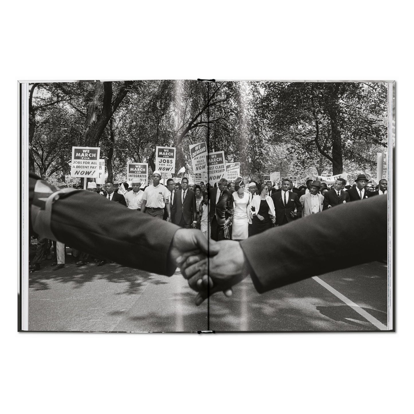 James Baldwin. Steve Schapiro. The Fire Next Time (English) Book