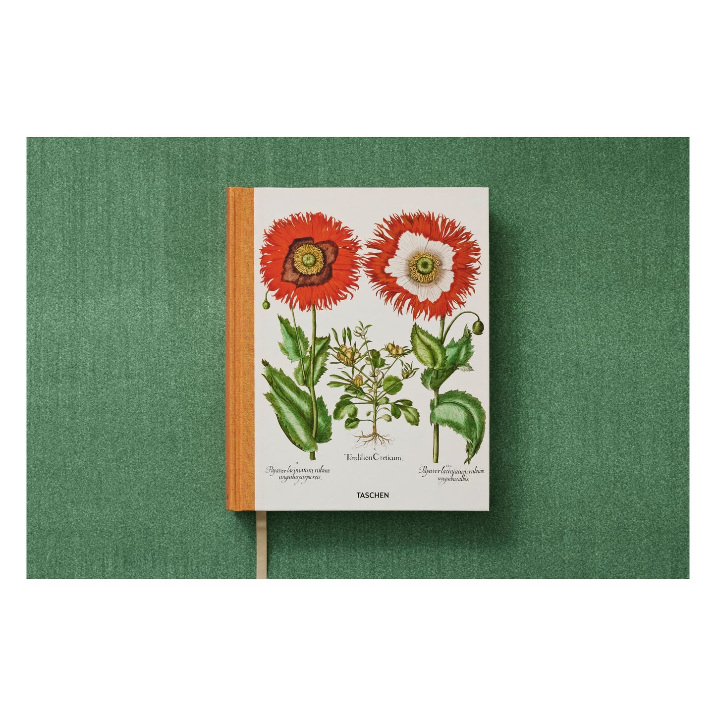 Basilius Besler. The Garden at Eichstätt (German, French, English) (FFE) Book