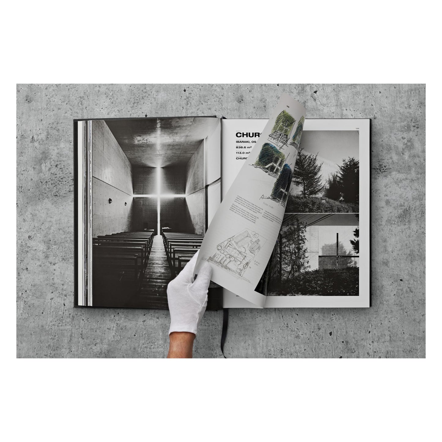Ando. Complete Works 1975–Today. 2023 Edition (German, French, English) Book