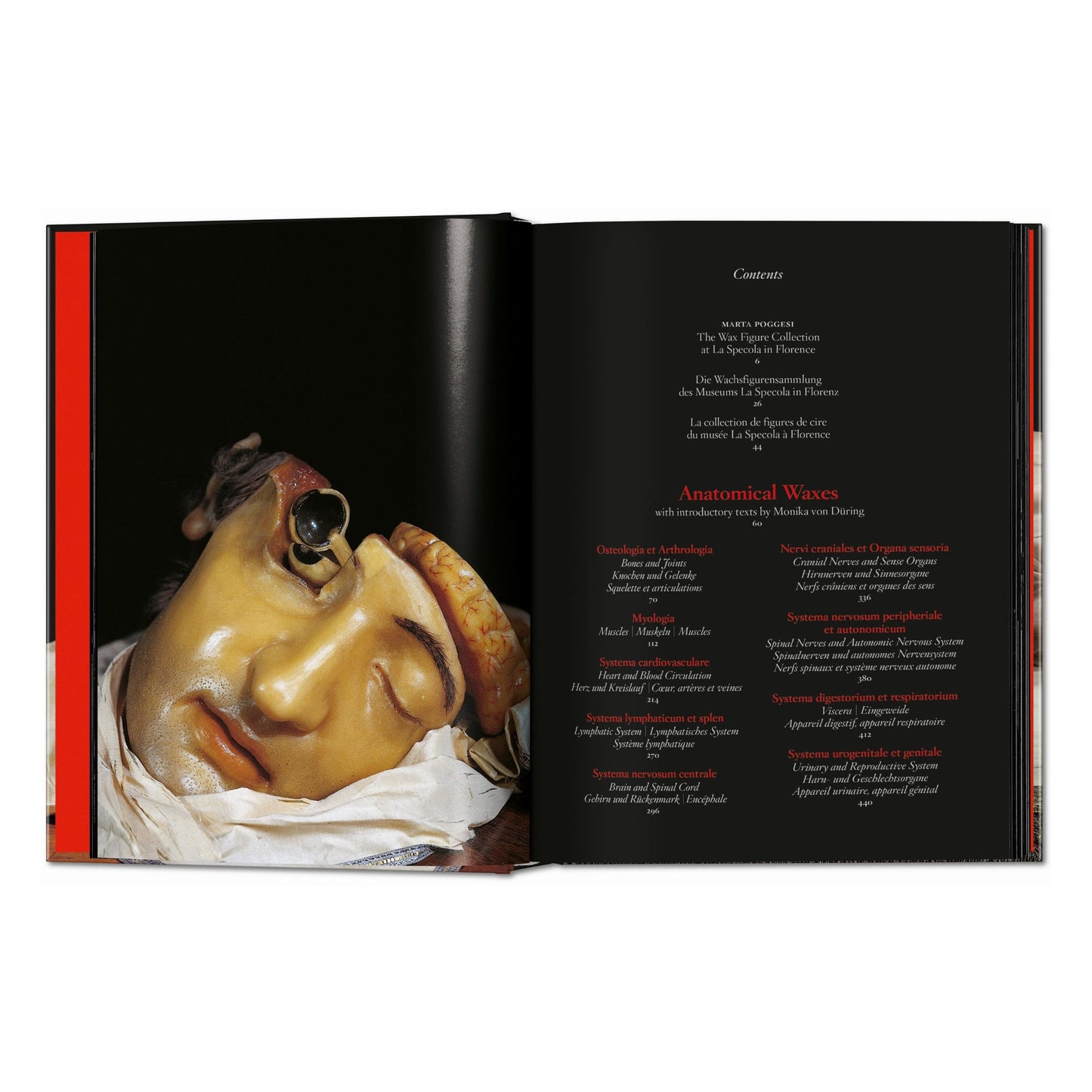 Anatomical Waxes. 45th Ed. (German, French, English) Book