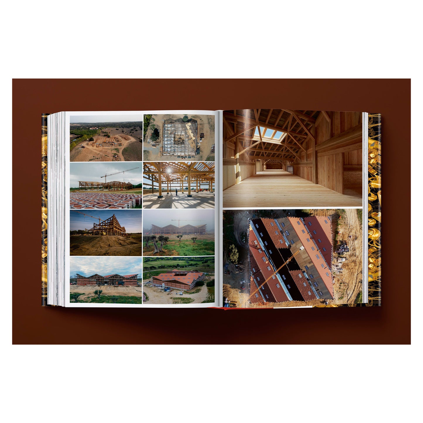 Ai Weiwei. Updated Edition (German, French, English) Book