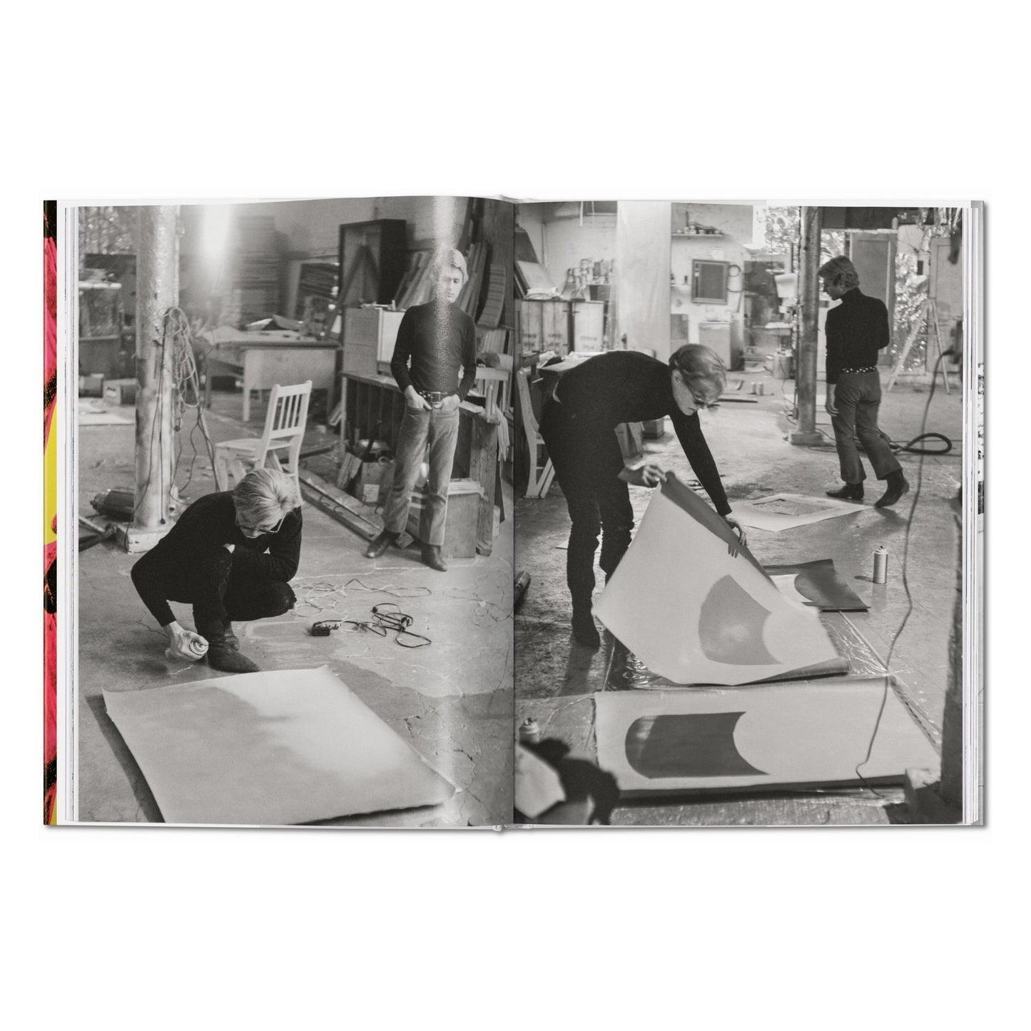 Steve Schapiro. Andy Warhol and Friends (English) Book